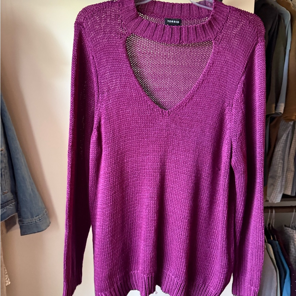 Torrid Women's V-Neck Sweater in Rich Purple